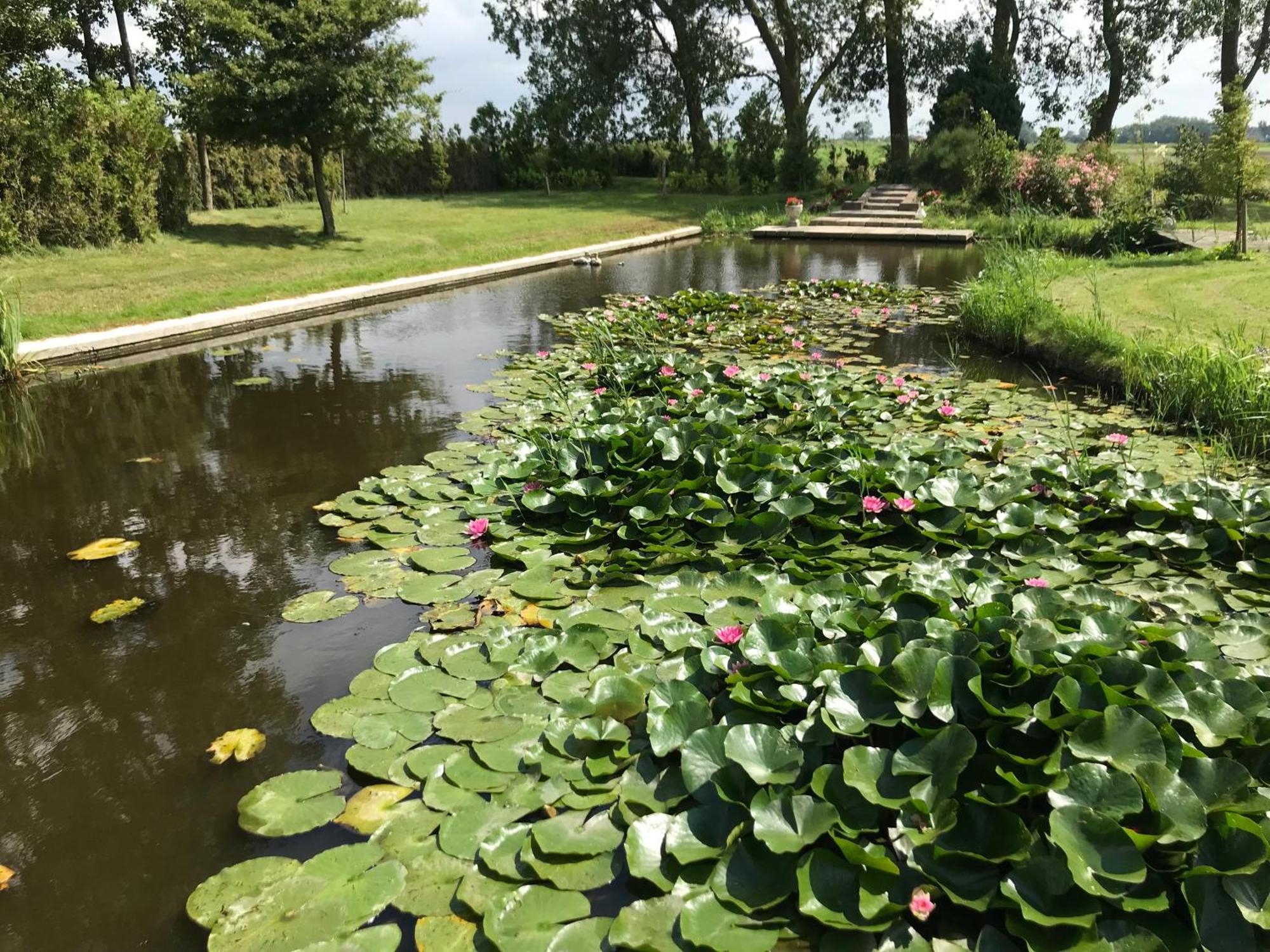 Landgoed Swaensborgh Appartement Oudesluis  Buitenkant foto